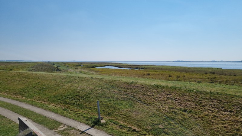 IMG-20210909-WA0068