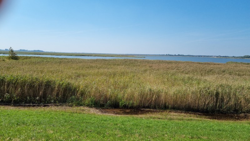 IMG-20210909-WA0079