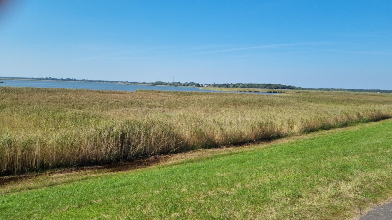 IMG-20210909-WA0080