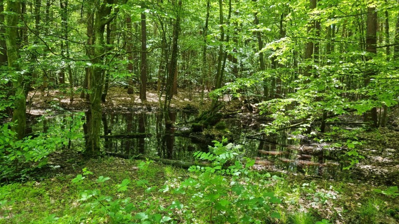 IMG-20210529-WA0002