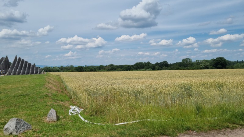 IMG-20210627-WA0002