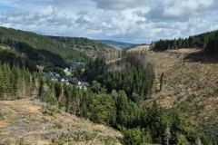 IMG-20250902-WA0011