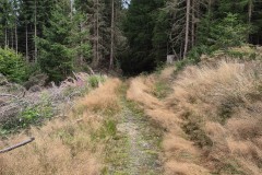IMG-20250902-WA0014
