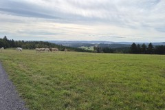 IMG-20250904-WA0003