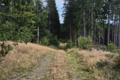 IMG-20250904-WA0013