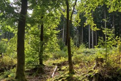 IMG-20250904-WA0030