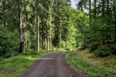 IMG-20250904-WA0036