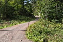 IMG-20250904-WA0042