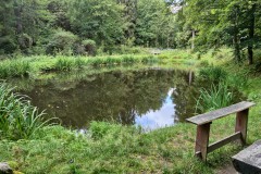 IMG-20250904-WA0048