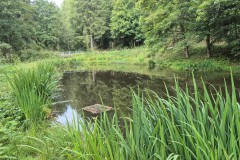 IMG-20250904-WA0049