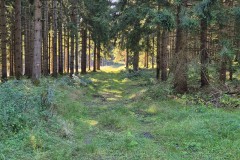 IMG-20250906-WA0004
