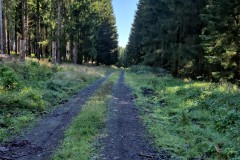 IMG-20250906-WA0006