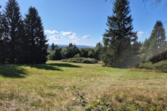 IMG-20250906-WA0014