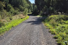 IMG-20250906-WA0018