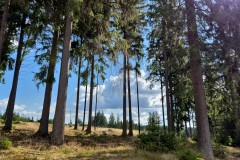 IMG-20250906-WA0046