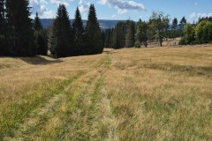 IMG-20250906-WA0048