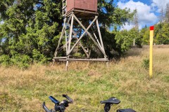 IMG-20250906-WA0055