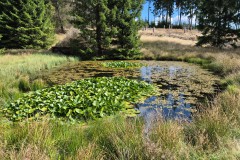 IMG-20250906-WA0057