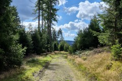IMG-20250906-WA0061