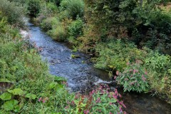 IMG-20250906-WA0076