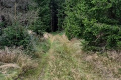 IMG-20250906-WA0084