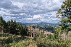 IMG-20250906-WA0092