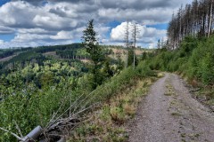 IMG-20250906-WA0102