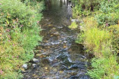 IMG-20250906-WA0109