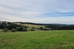 IMG-20250907-WA0005