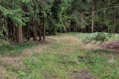 IMG-20250907-WA0007