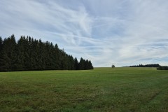 IMG-20250907-WA0008