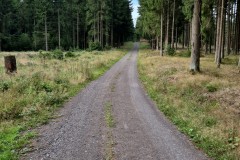 IMG-20250907-WA0013