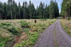 IMG-20250907-WA0014