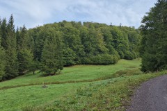 IMG-20250907-WA0022