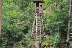 IMG-20250907-WA0023