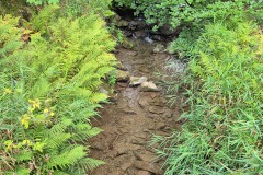 IMG-20250907-WA0026