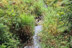 IMG-20250907-WA0027