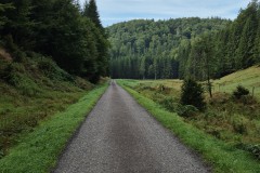 IMG-20250907-WA0029