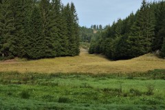 IMG-20250907-WA0035