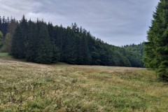 IMG-20250907-WA0037