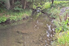 IMG-20250907-WA0043